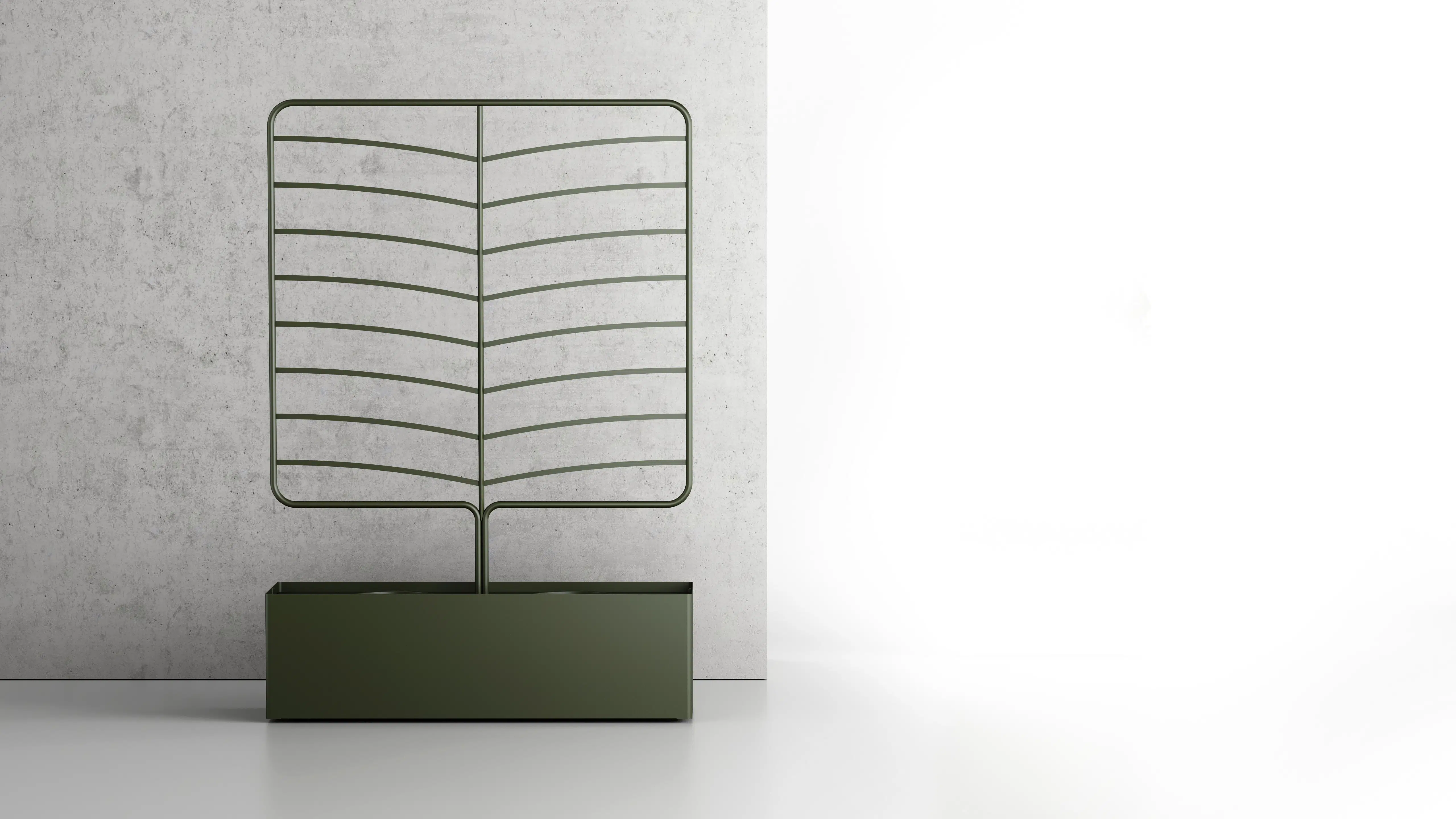 LEN_Botanical_Wattle_HR_Studio_05_01 LEN_Botanical_Wattle_HR_Studio_05_01