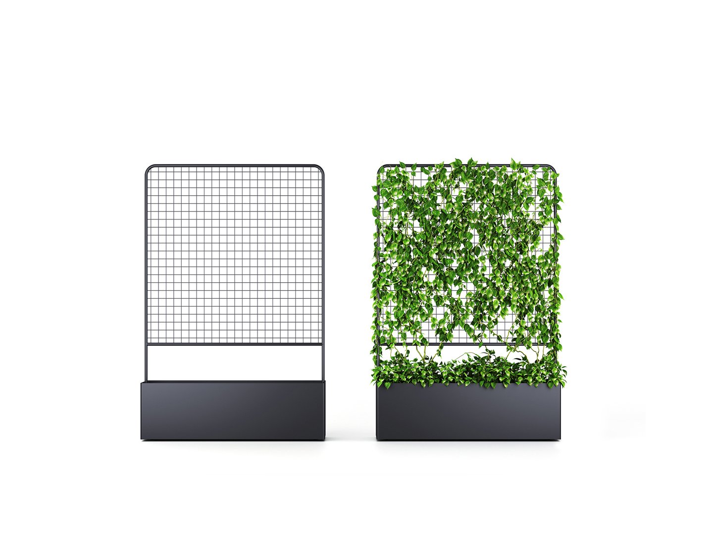 Botanical Waratah Planter Screens