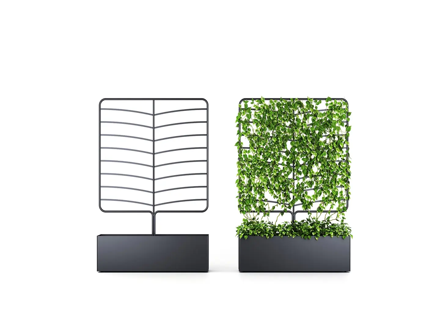 Botanical Wattle Planter Screens